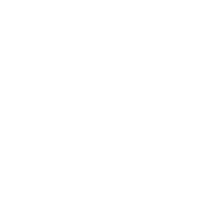 Schneeräumdienst Icon