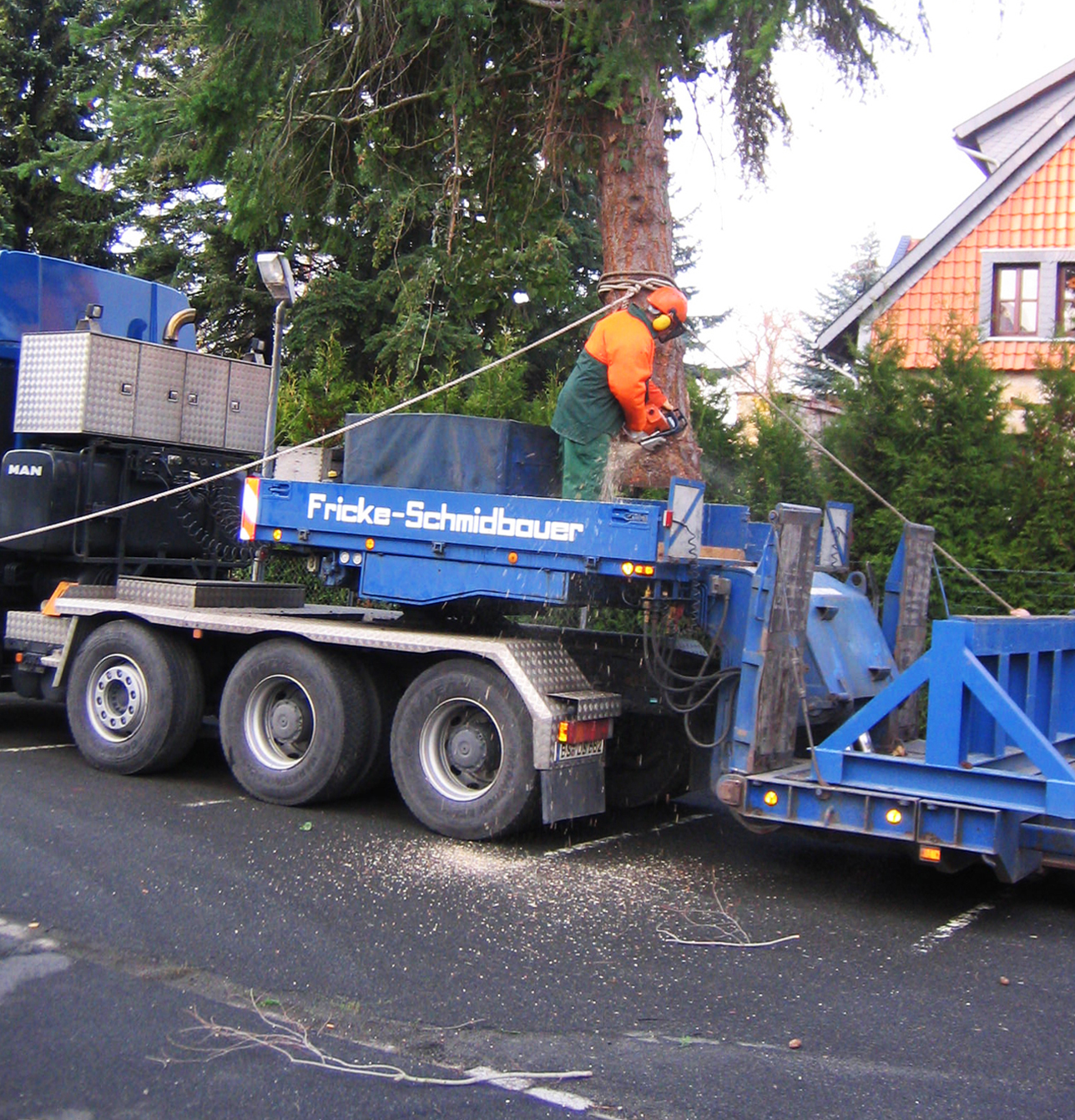 Baumfällarbeiten_3_Ulrich-Salzgitter